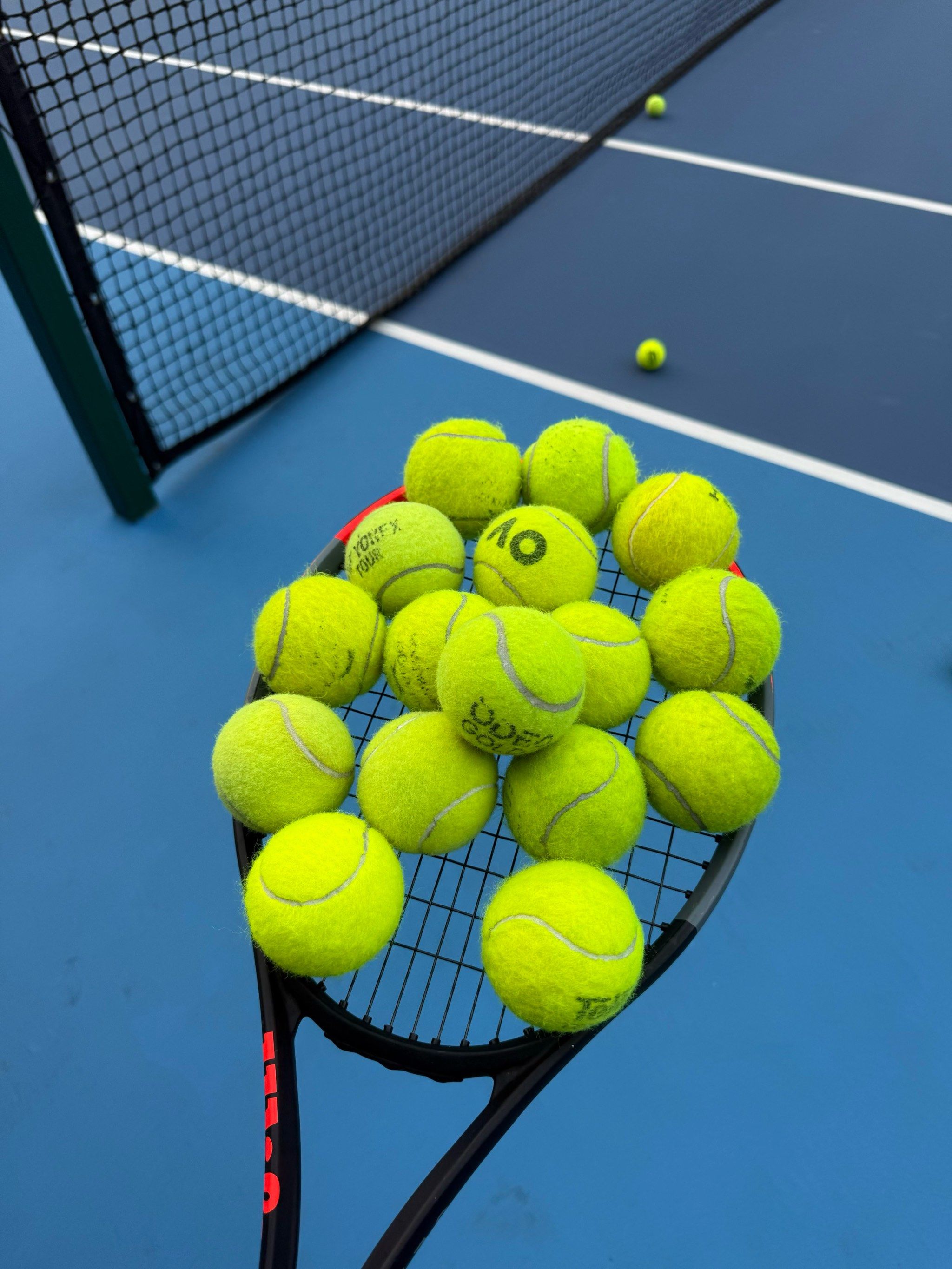 的掌控力 的掌控力