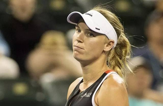 的体育领域 的体育领域