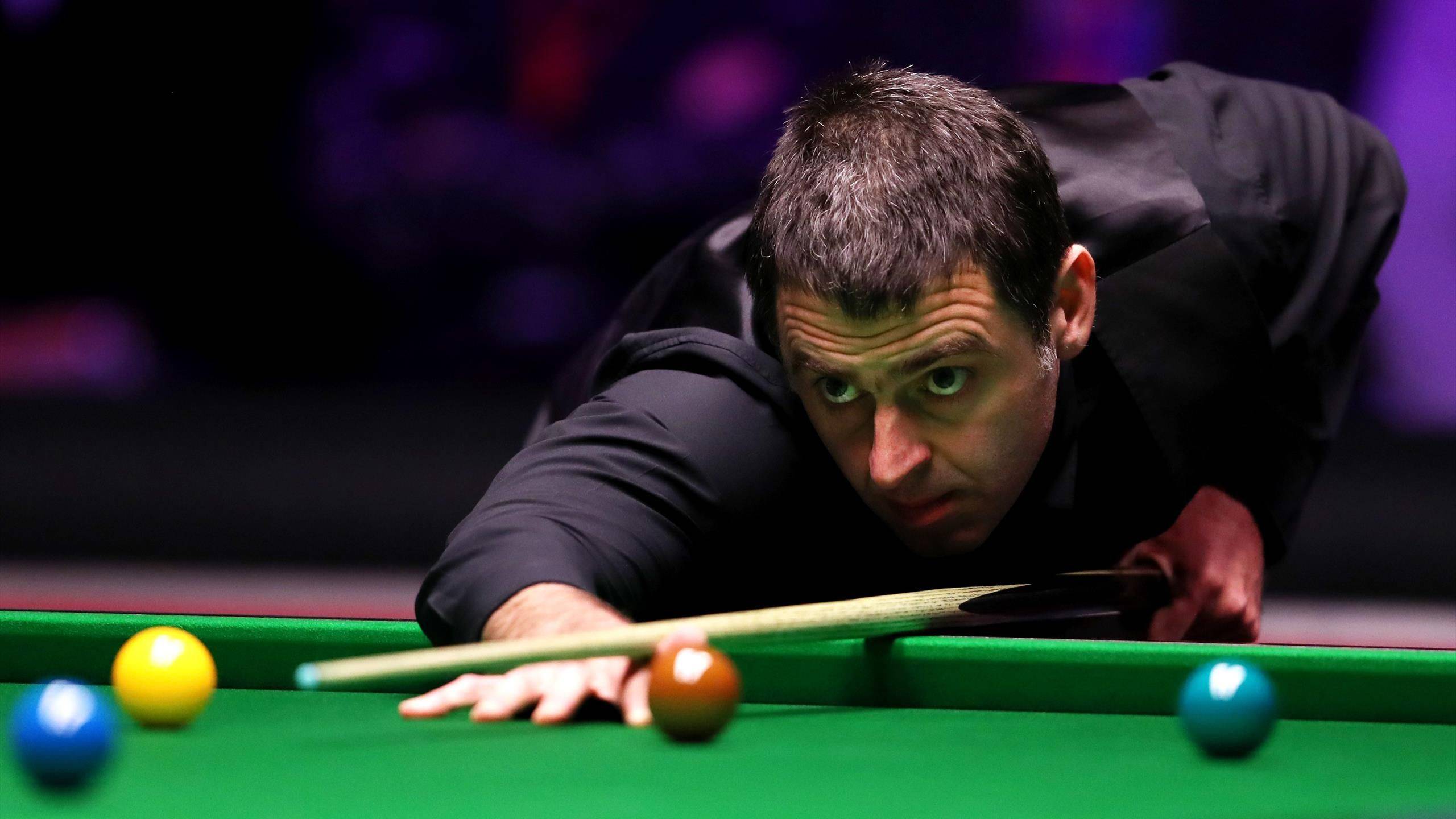 他们强大的 他们强大的